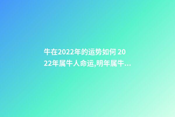 牛在2022年的运势如何 2022年属牛人命运,明年属牛的人的运气怎么样-第1张-观点-玄机派